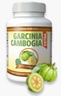 garcinia-cambogia